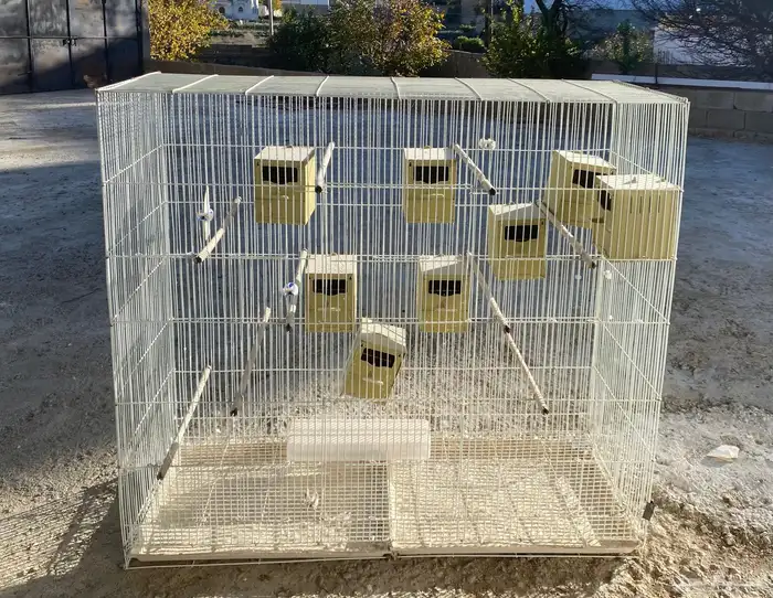 قفص شبكة طيور 0