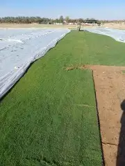 ابومحمد لبيع جميع انواع التيل الطبيعي الممتاز سي 1