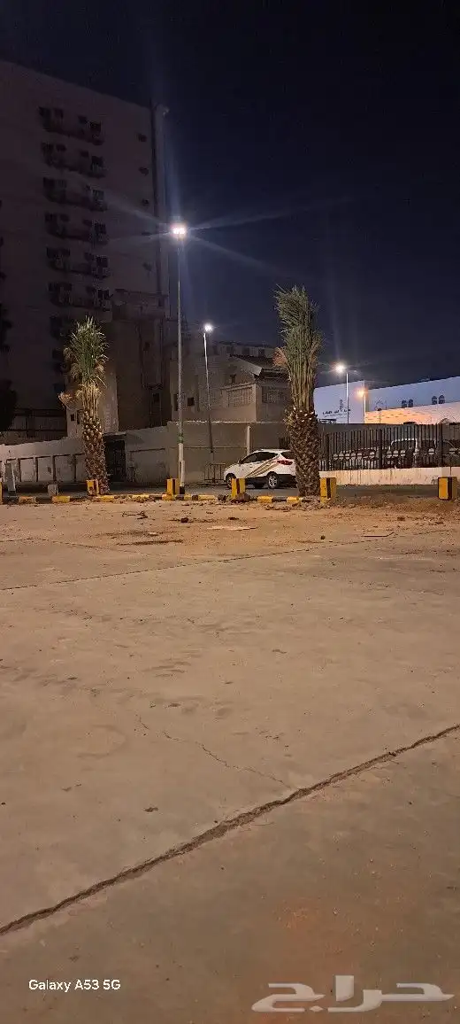 نخل للبيع جثايث مكه المكرمه جده 0