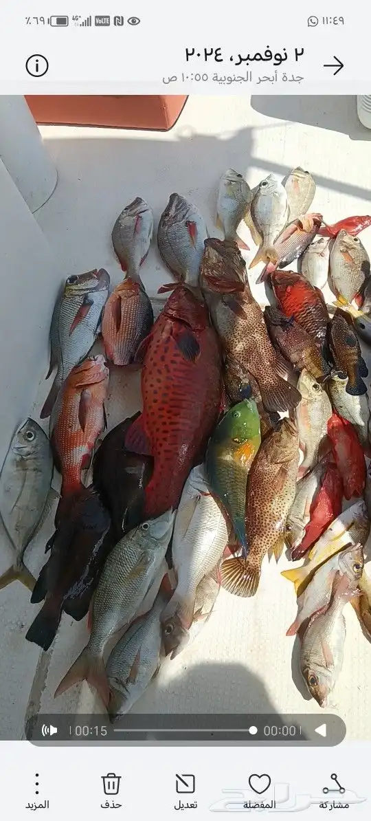 رحلات بحرية صيد وسباحه و تمشيه داخل شرم 7