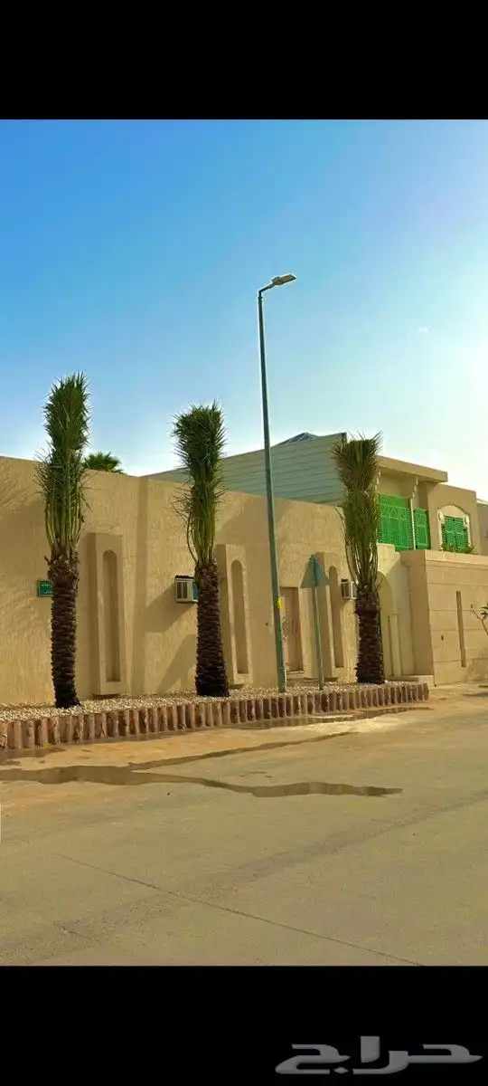 نخل لبيع عربي 9