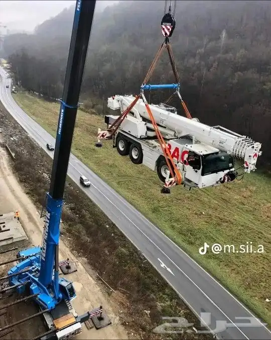 كرينات روافع شوكيه 0