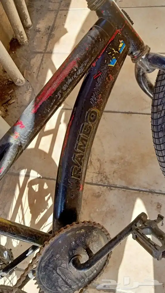 سيكل رامبو وطبلون كابرس اس اس 2005 4