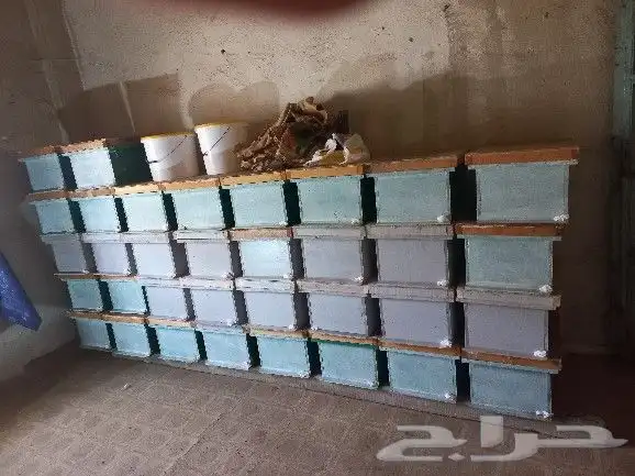 الباحه بلجرشي 0
