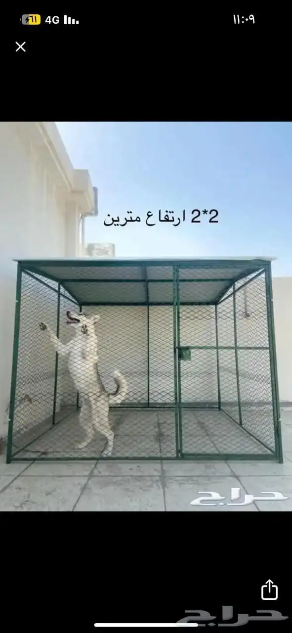 قفص غرف طيور شبك بقلاوه عشه صندقه 5