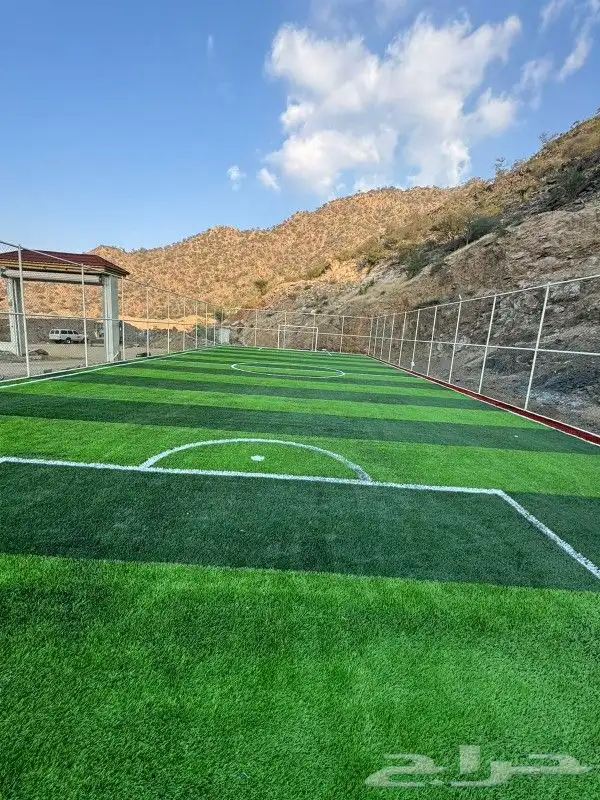 تنسيق الحدائق 4