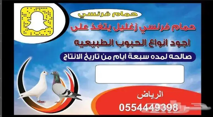 للبيع زغاليل حمام فرنسي آبيض و سلفر 4