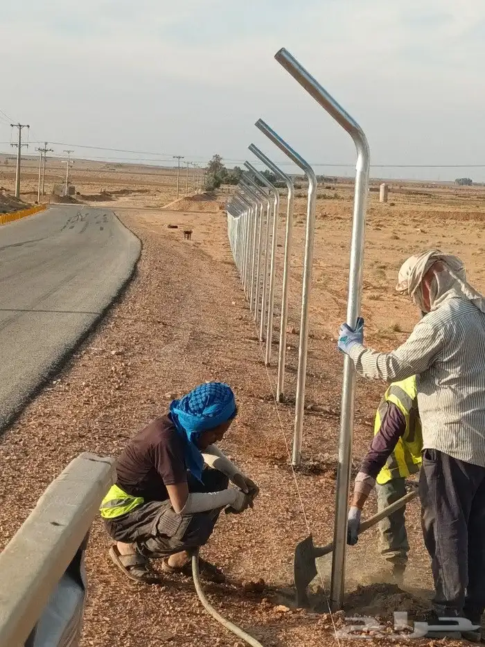 تقطيع الأشجار وازالتها من جذورها 4