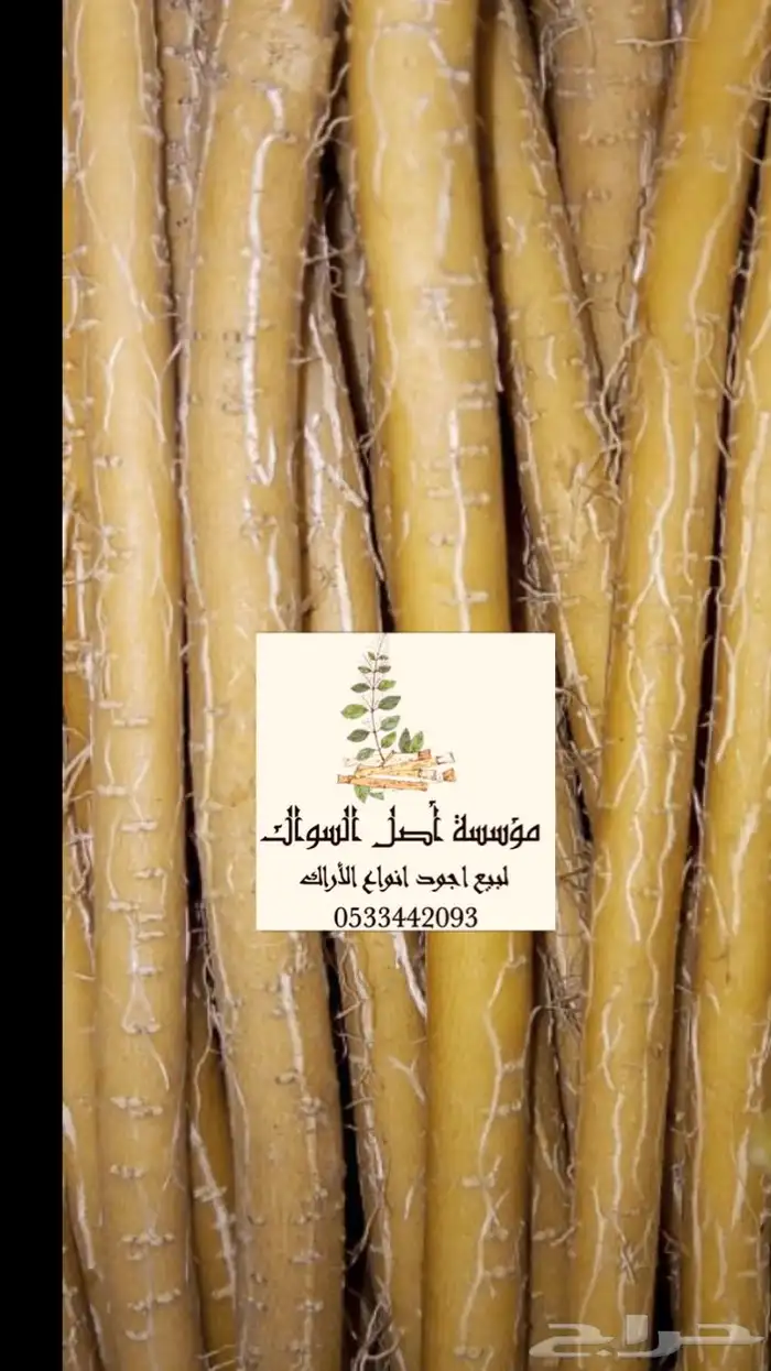 مسواك ابو حنش يصلك اينما كنت 8