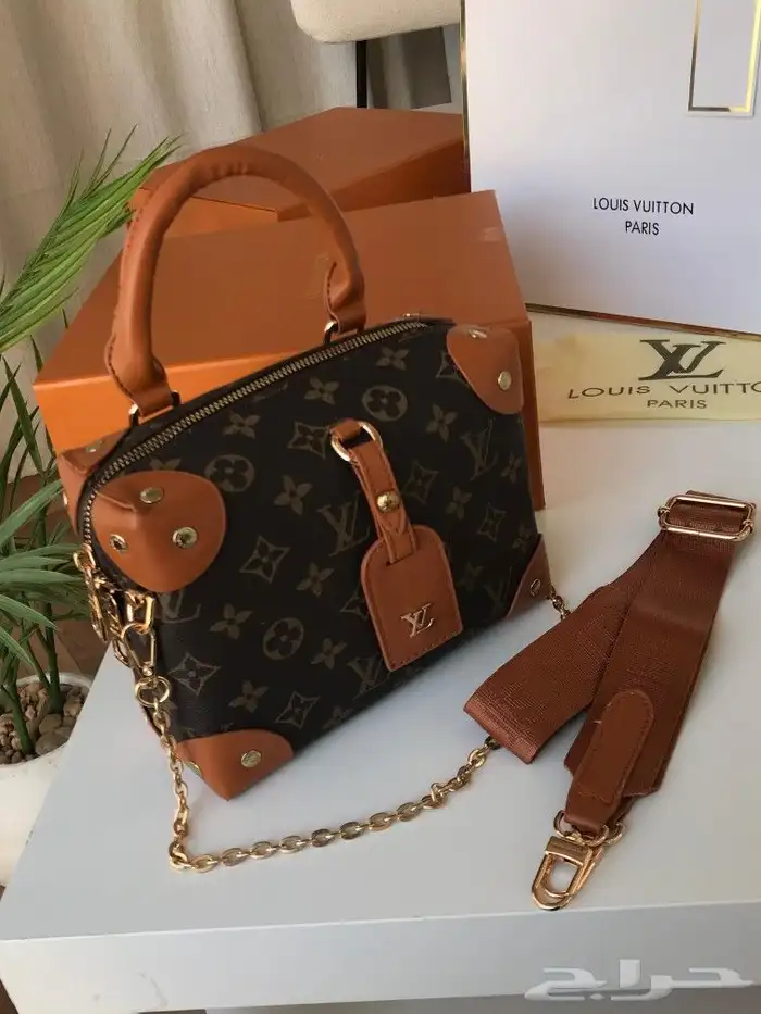شنط لويس فيتون ماستر كوالتي شكلين 22