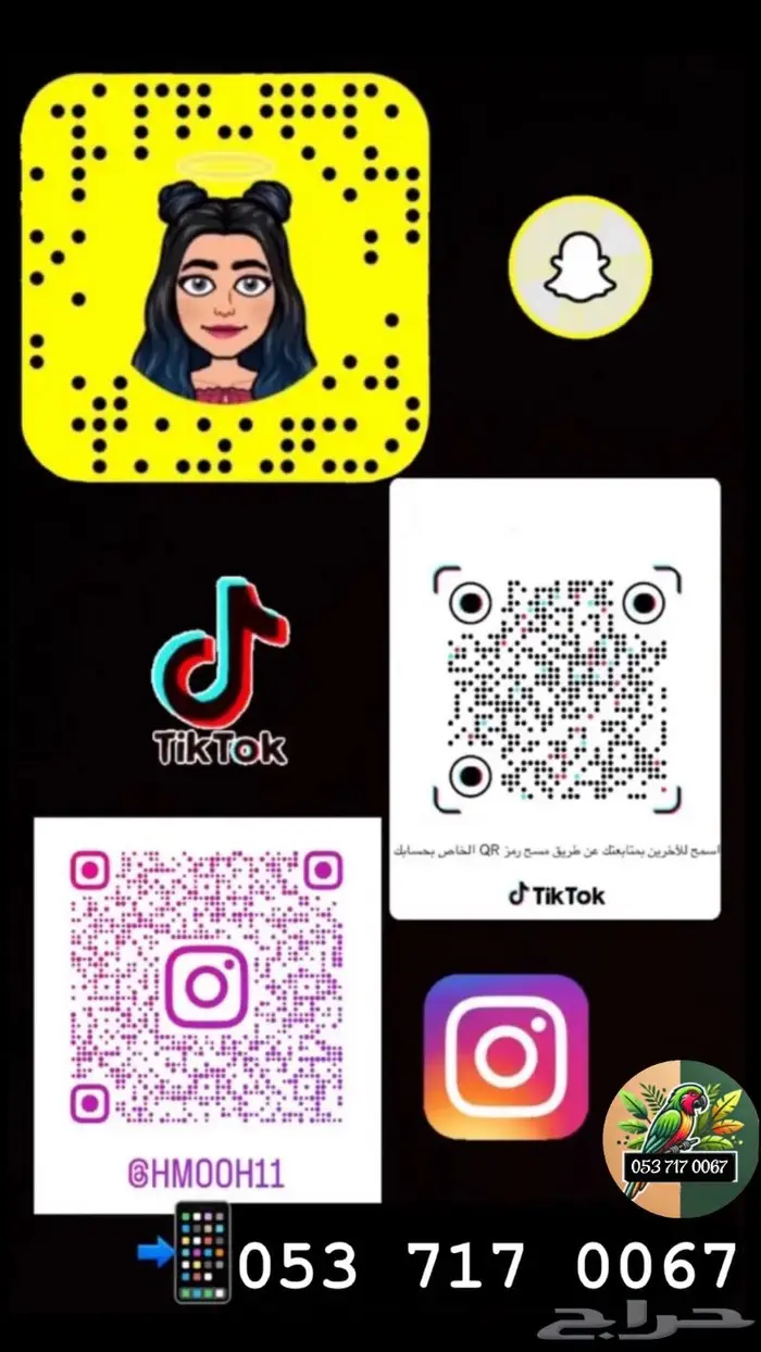 للبيع ببغاء الدرة الأليف ومسلي 9