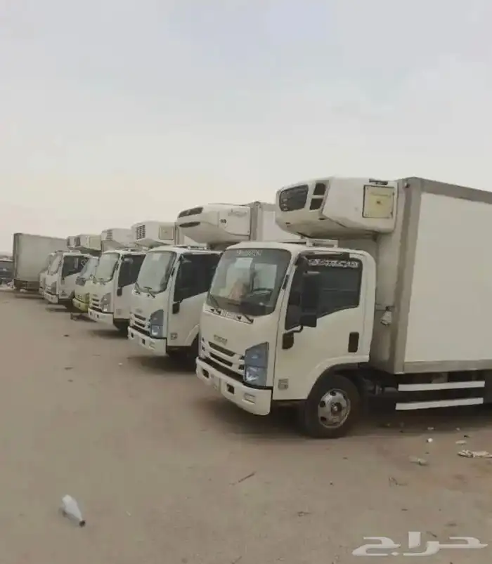 ايجار دينات ثلاجة 2023-2024-2025 0