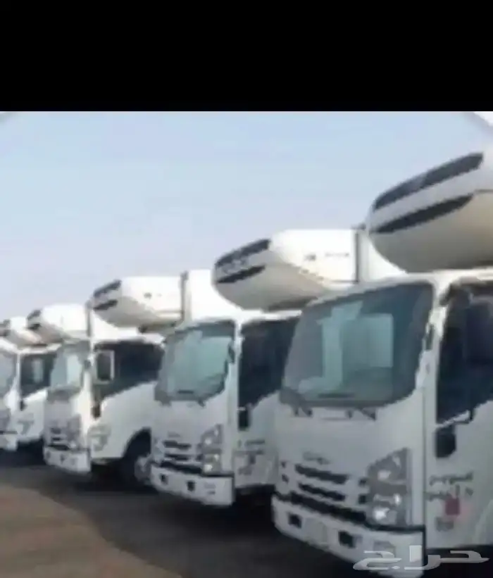 ايجار دينات ثلاجة 2023-2024-2025 1