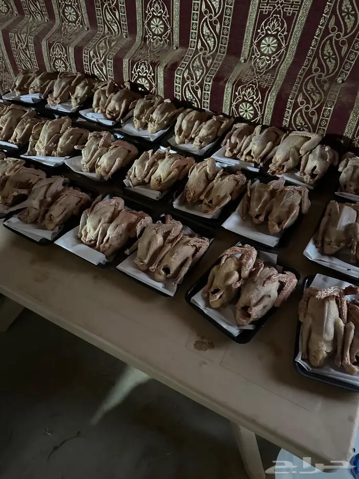 للبيع زغاليل حمام فرنسي آبيض و سلفر 0