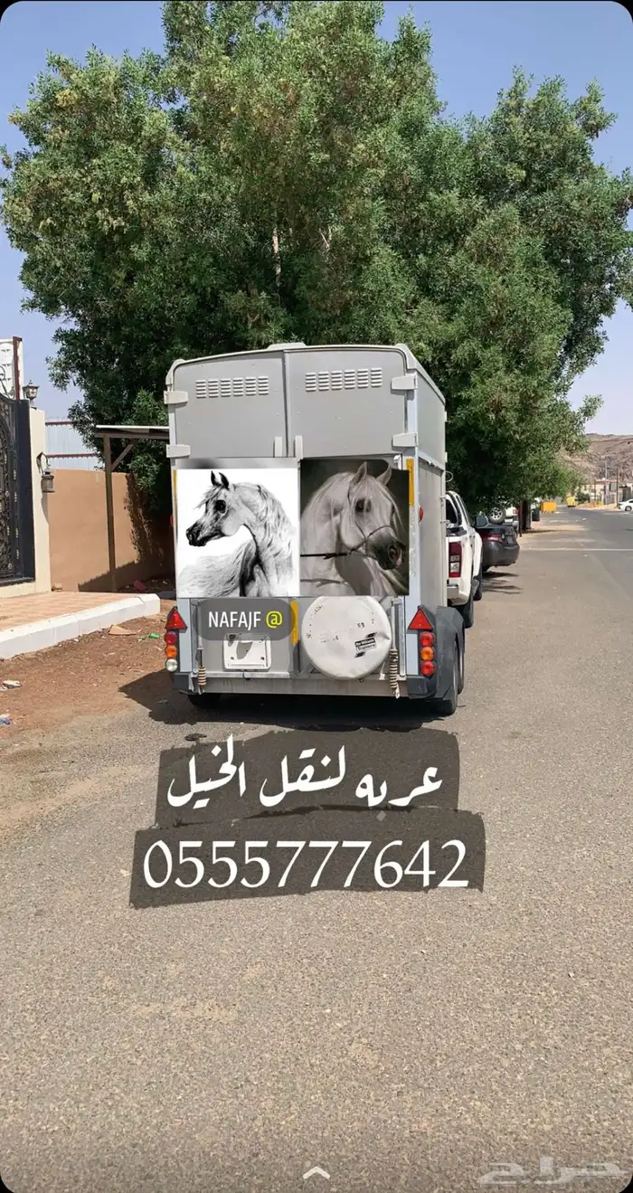 عربه نقل خيل في الرياض 0