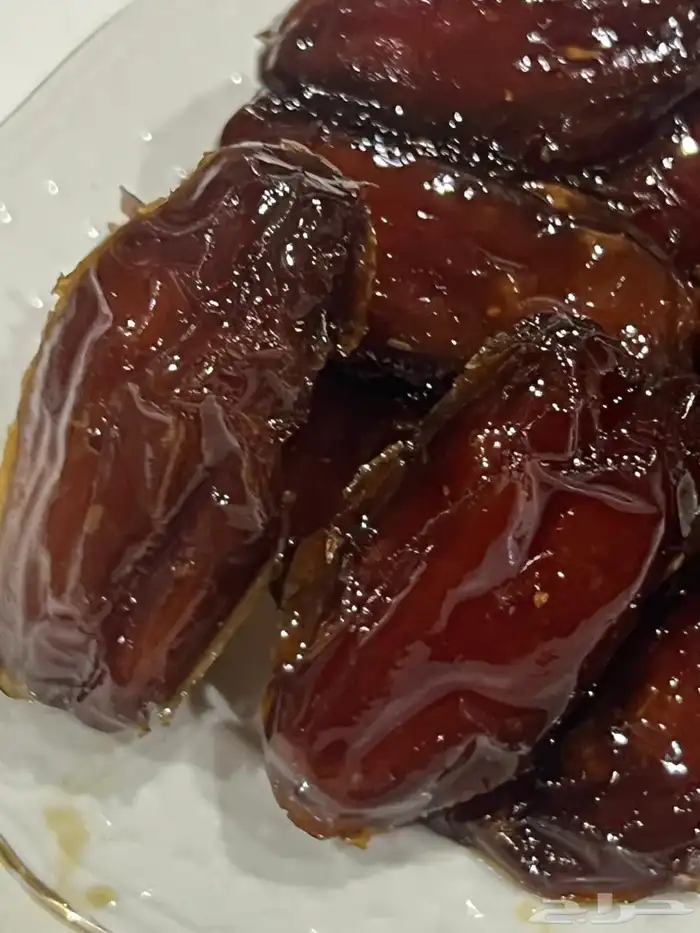 تمر صفري بيشة 3