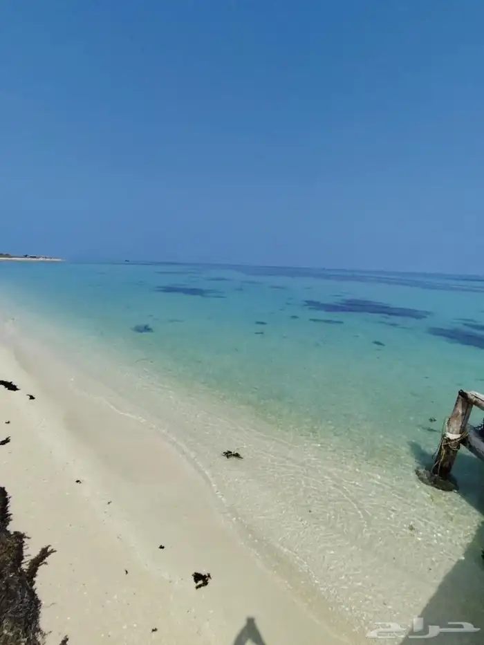 قارب كيان وبحر للرحلات البحرية بجازان (VIP) 4