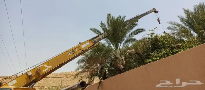 تاجير كرينات ورافعات وسطحات 7