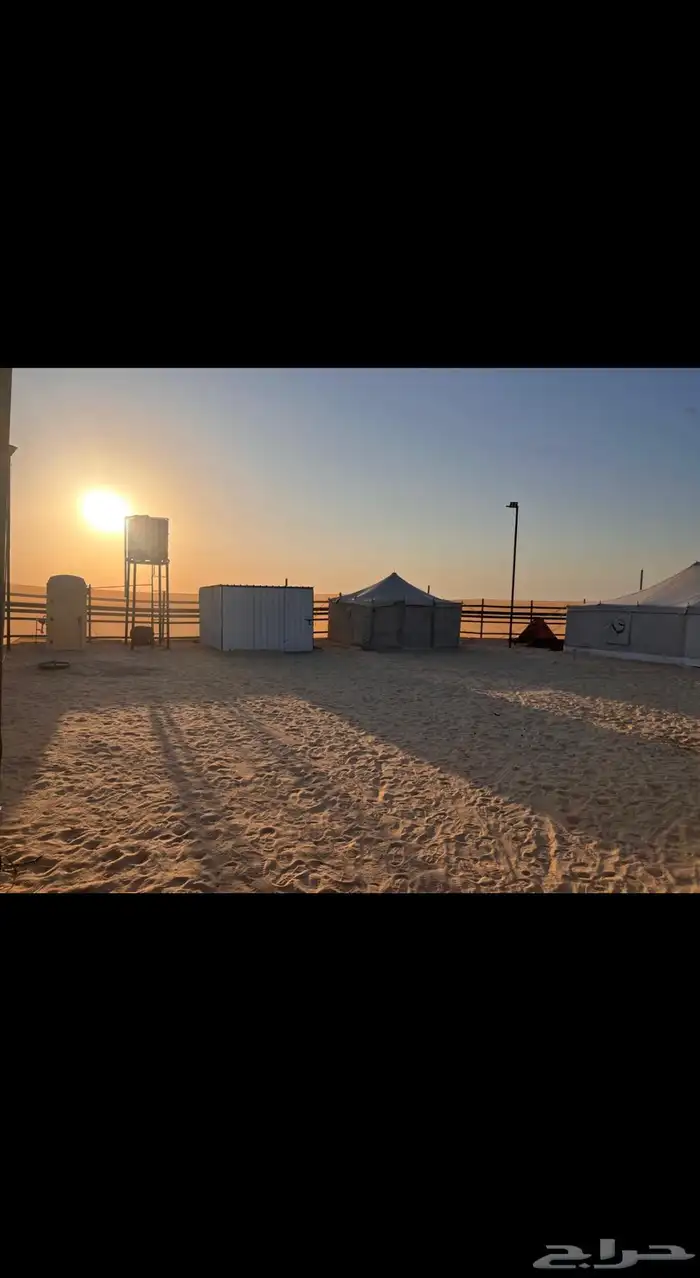 مخيم للإيجار النعيرية 0