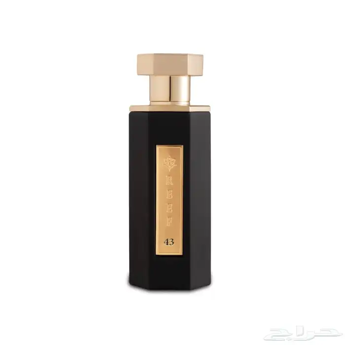 عطر ريف (43) REEF - جديد بقراطيسه 2