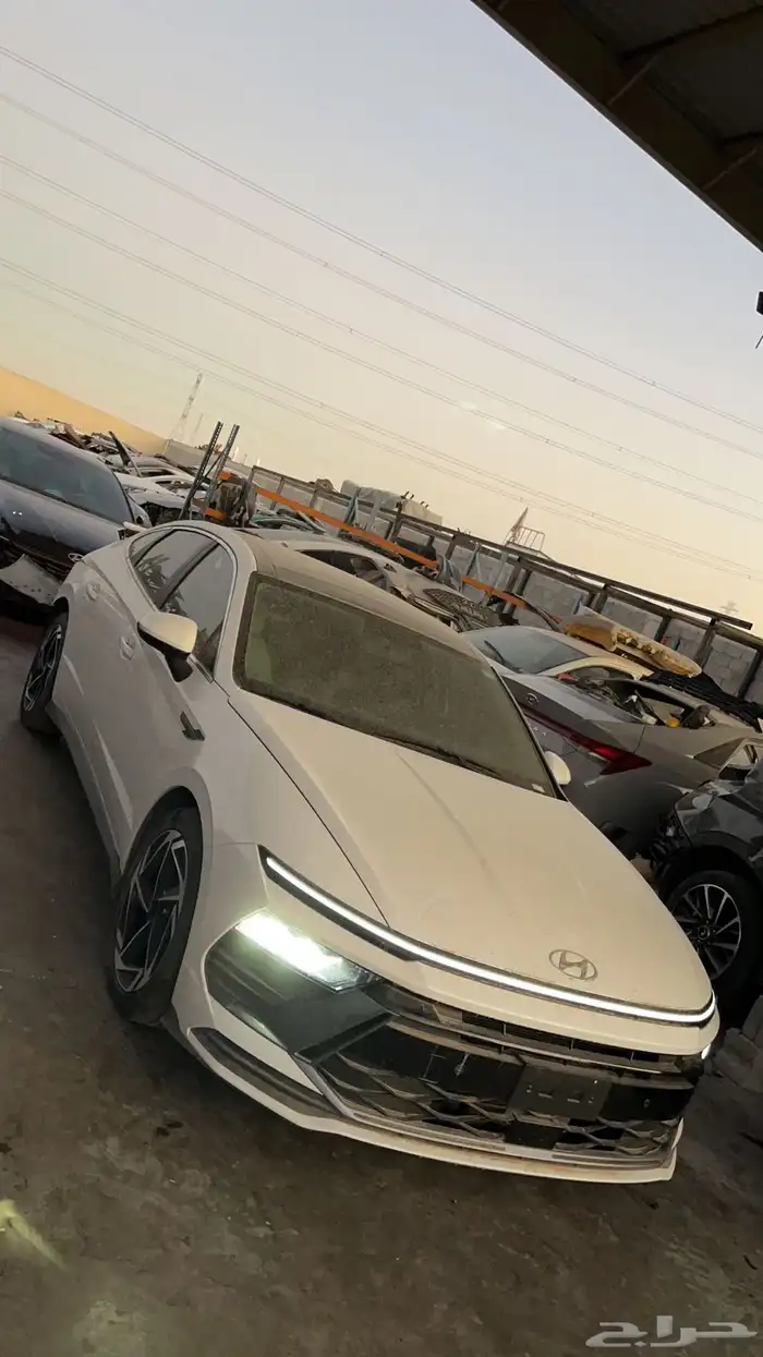 سوناتا تشليح 2024 2025 2