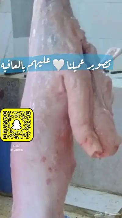 مؤسسة خيال الوسم لبيع وشراء المواشي جمله وتجزئه 2
