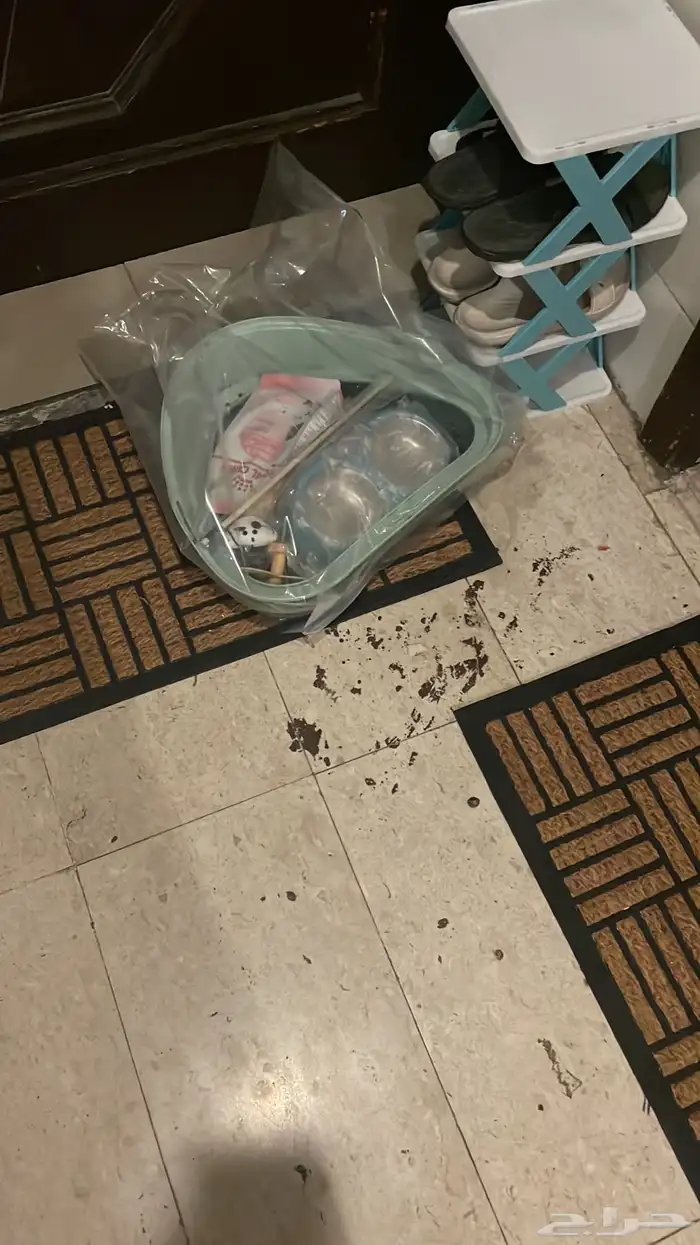 موصل رسايل وحيوانات من نجران الي جده 12