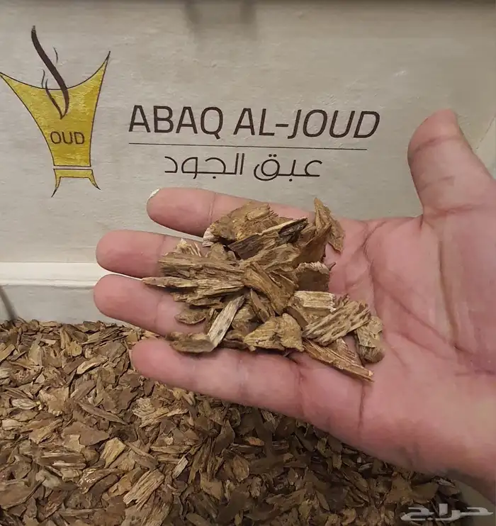 دقة عود سيلاني ( قديمة) 0