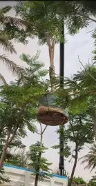 توريدنخيل 4