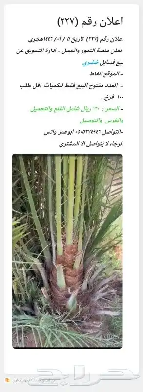 فسايل للبيع جميع المقاسات 8