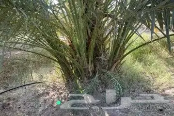 فسايل للبيع جميع المقاسات 5