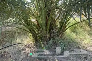 فسايل للبيع جميع المقاسات 3