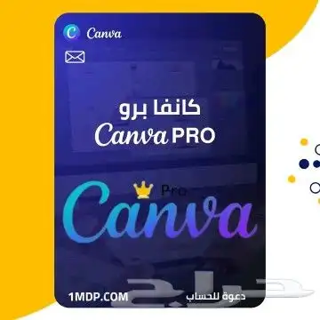 كانفا برو مدى الحياة مع ضمان ذهبي 0