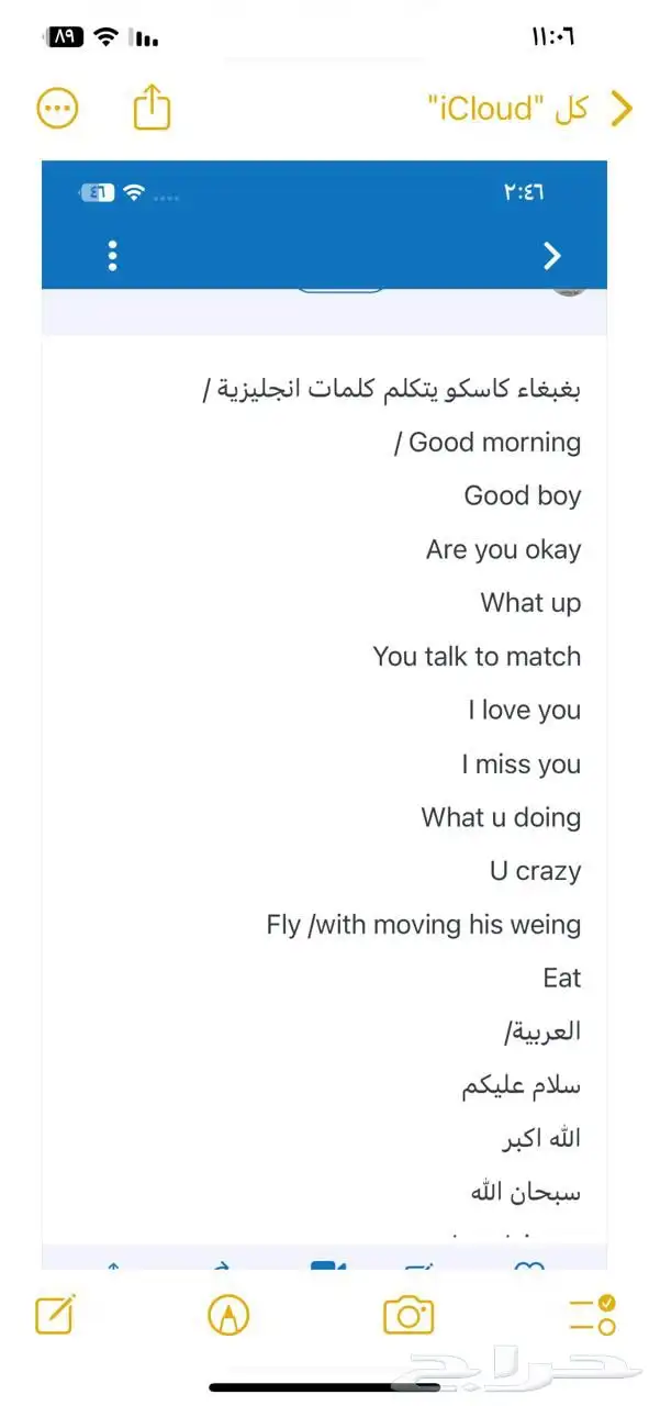 بغبغان يتكلم 0