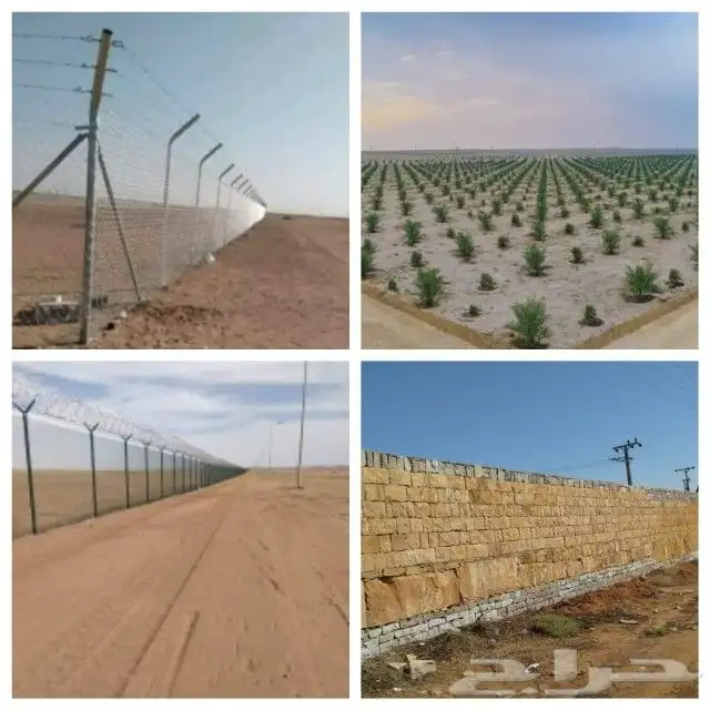 مقاول شبوك ونخيل وطلح وسدر توريد وتركيب القريه العليا الدمام 1