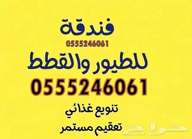 فندقة قطط وطيور 6061 24 0555 شاهد التقييمات 1
