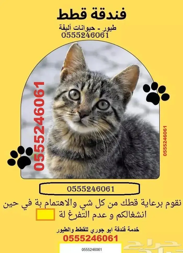 فندقة قطط وطيور 6061 24 0555 شاهد التقييمات 0