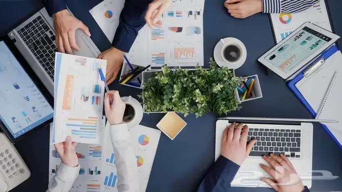 تقديم كافة خدمات المحاسبة والمراجعة لكافة الشركات 0