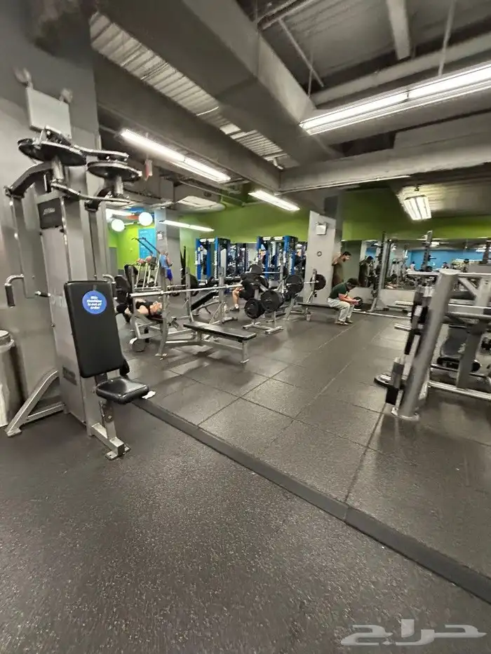 جهز ناديك مجدد أمريكي افضل المركات 0