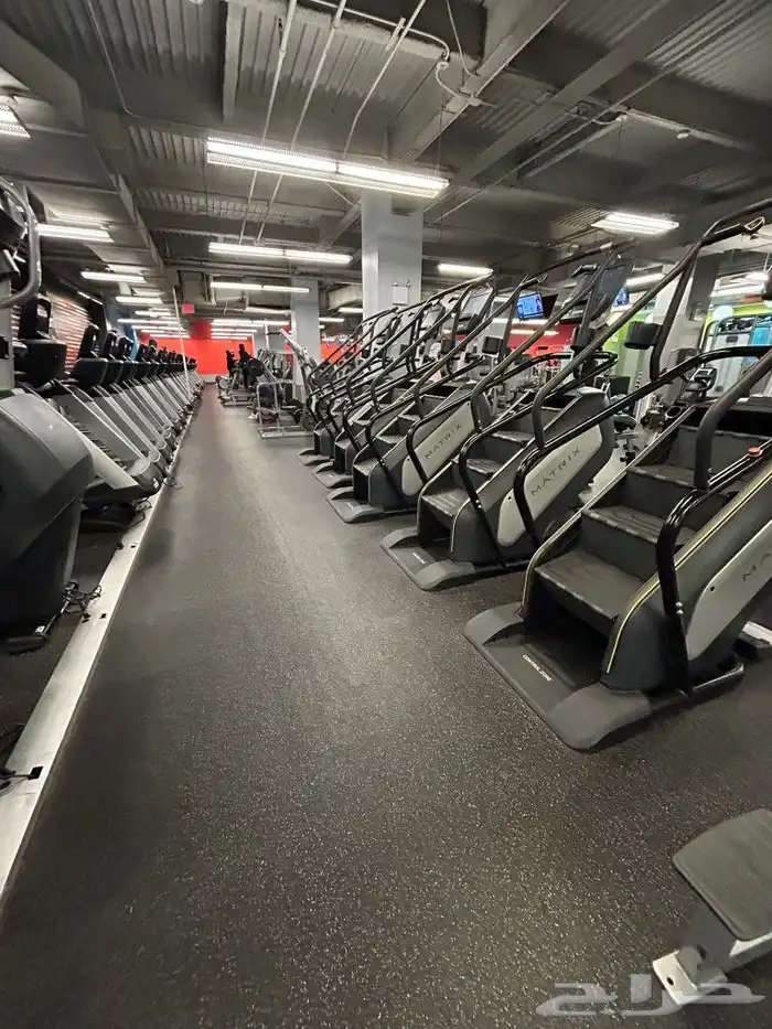 جهز ناديك مجدد أمريكي افضل المركات 2