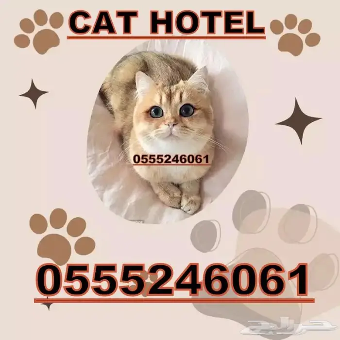 فندقة قطط وطيور 6061 24 0555 شاهد التقييمات 2