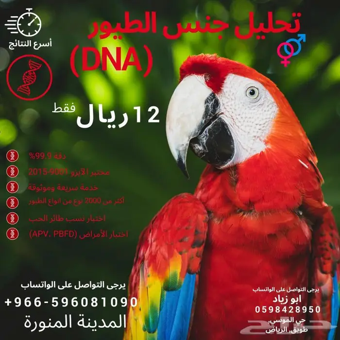 تحديد جنس الطيور بتحليل DNA 0