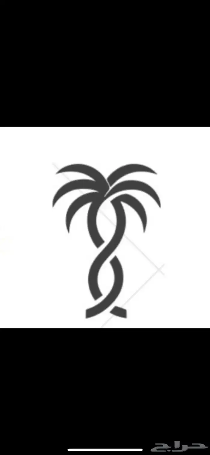 تمور فاخره 7