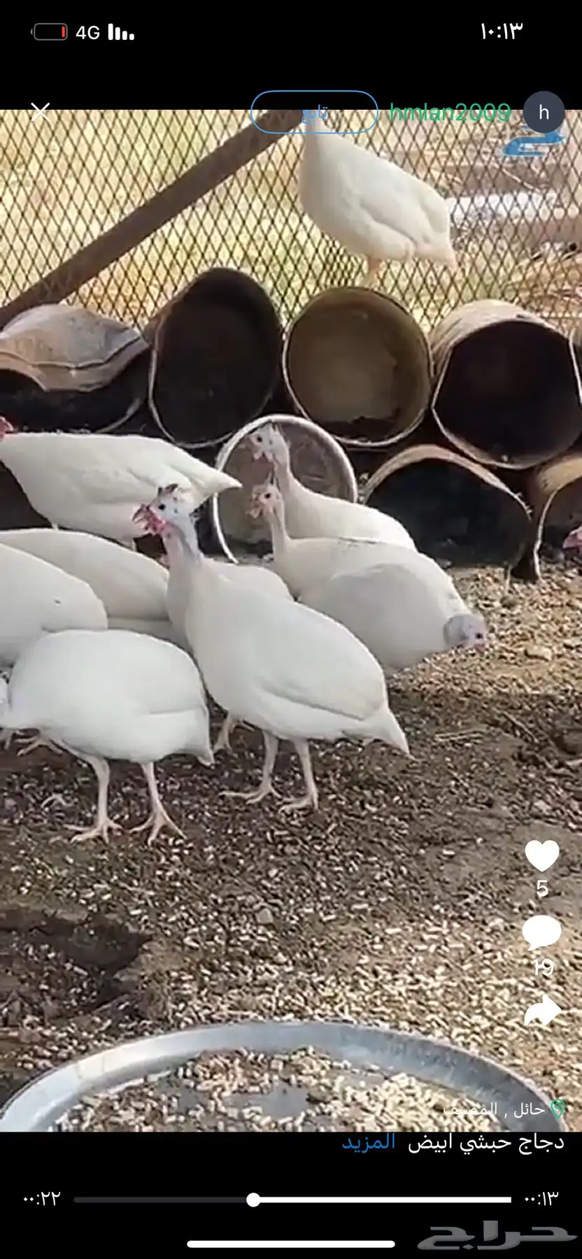 جنوب حايل الروضه 1