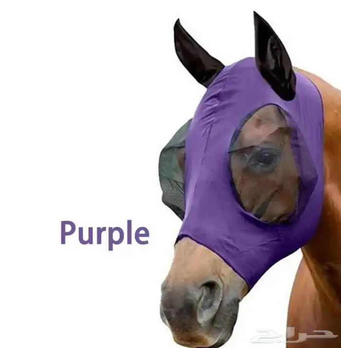 خيول قناع 1