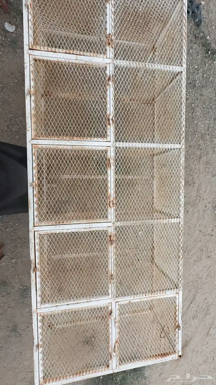 بطارية ارانب بقلاوه 3