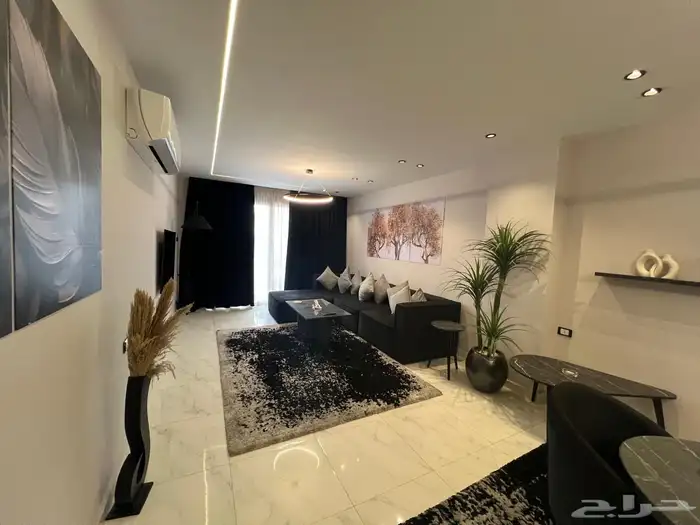 روف بالقاهرة على النيل 4