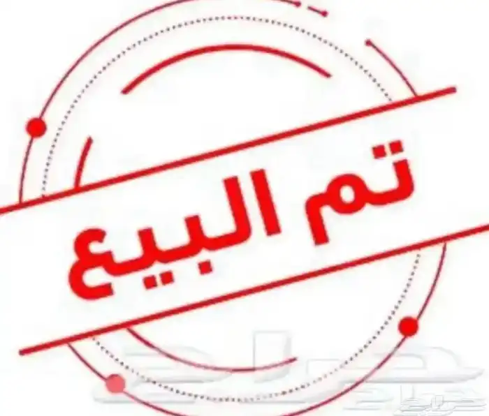 دجاج بلدي العدد 200 0