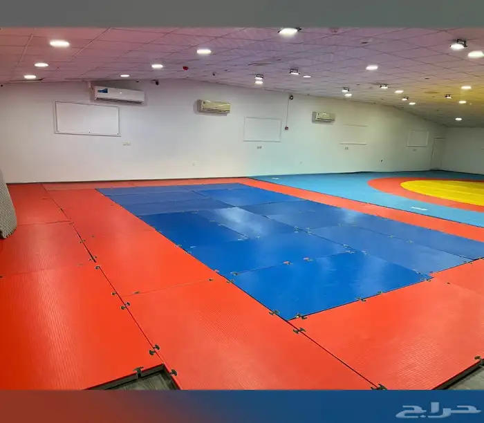 للبيع عماره تجاريه استثمارية في عنيزه 5