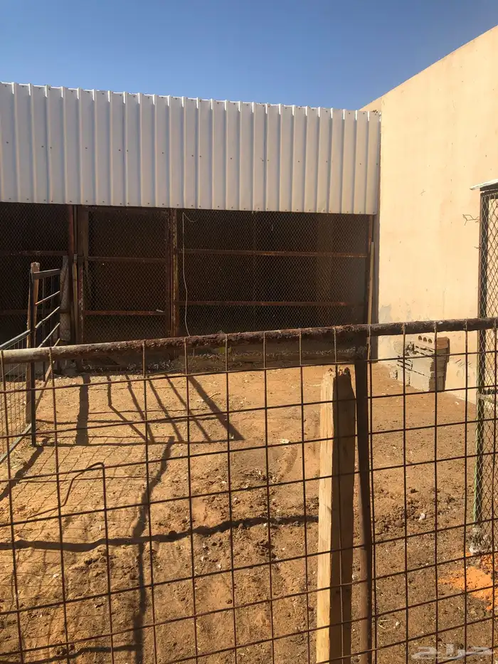 حوش غنم ( تم الحجز الاحواش) 1